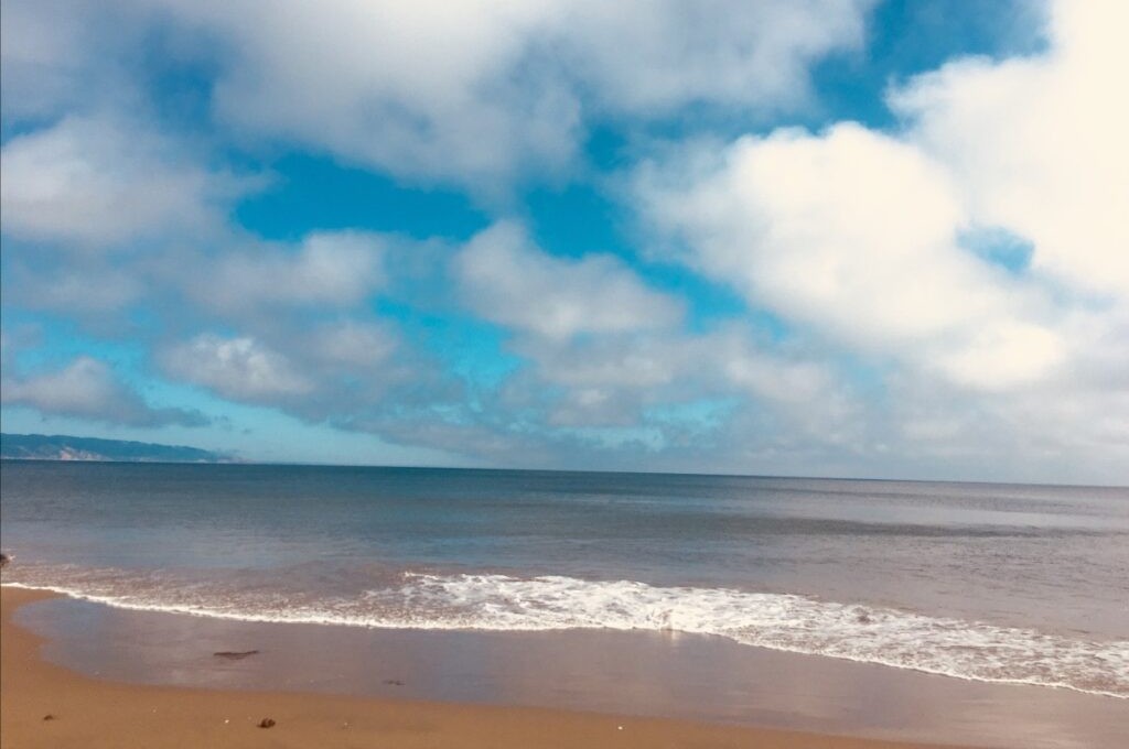 Summer 2023 Newsletter