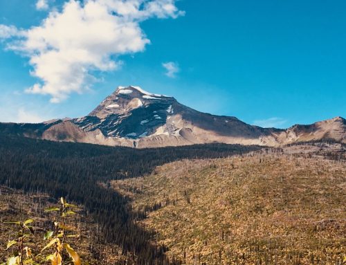 Mountains of Courage Conference March 29, 2025